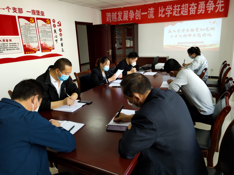 中共青海省臨空經(jīng)濟區(qū)開發(fā)投資有限公司支部委員會召開深入學習宣傳貫徹黨的二十大精神專題會議