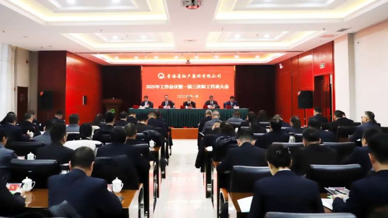 堅定信心促發(fā)展 實干爭先攀新高&mdash;&mdash;省物產(chǎn)集團2025年工作會議暨一屆三次職代會勝利召開