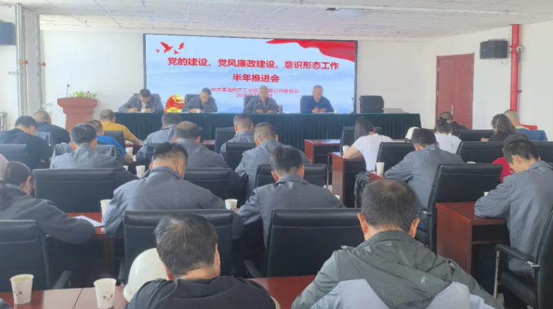 工投公司黨委召開(kāi)黨的建設(shè)、黨風(fēng)廉政建設(shè)、意識(shí)形態(tài)工作半年推進(jìn)會(huì)