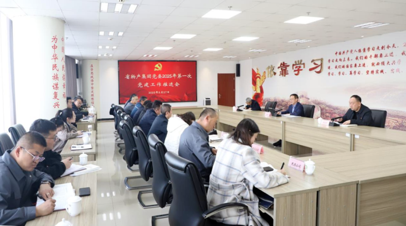 集團(tuán)黨委召開(kāi)2025年一季度黨建工作推進(jìn)會(huì)