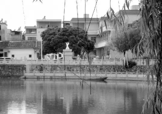 老鄉(xiāng)眼里的李河君：陌生富豪，夫人助其發(fā)財